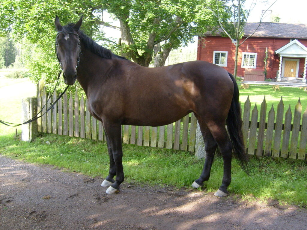 Doris