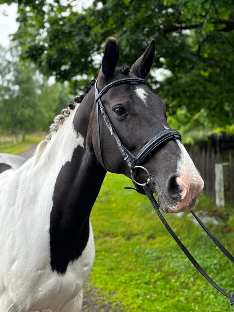Ella