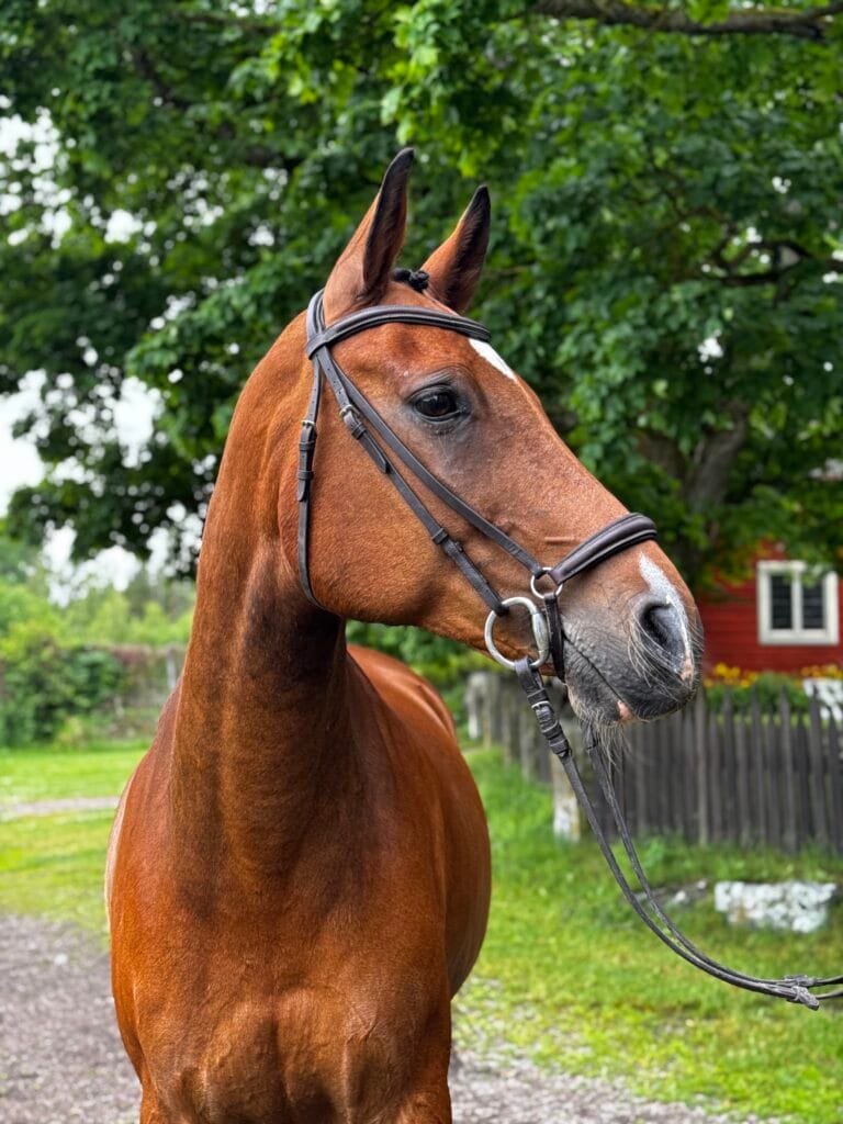 Felix